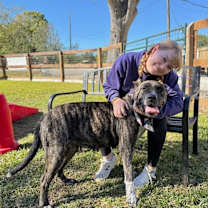 Thumbnail photo of Lady Rose #4