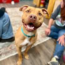 Thumbnail photo of Buster Butters Softer than a Crescent Roll #1