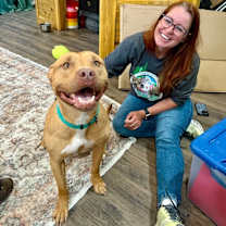 Thumbnail photo of Buster Butters Softer than a Crescent Roll #2