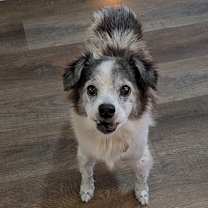 Thumbnail photo of Mi'jo #2