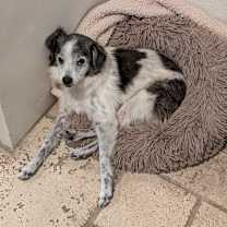 Thumbnail photo of Mi'jo #3