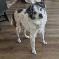 Thumbnail photo of Mi'jo #4