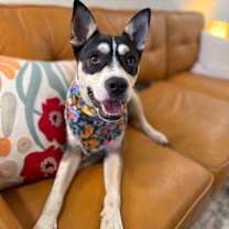 Thumbnail photo of Bonnie Wiggles #1