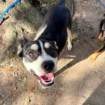 Thumbnail photo of Bonnie Wiggles #3