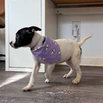 Thumbnail photo of Yuna Adorable #2