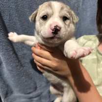 Thumbnail photo of Itzy K Pop #4