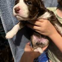 Thumbnail photo of TXT K Pop #4