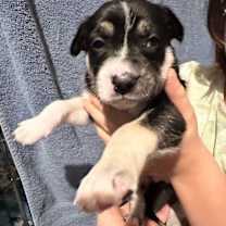 Thumbnail photo of Aespa K Pop #3