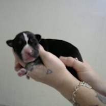 Thumbnail photo of Aespa K Pop #4