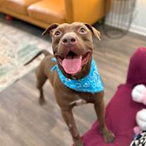 Thumbnail photo of Ernie Sploots for You #1