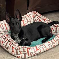 Thumbnail photo of Sam Slater #1