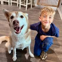 Thumbnail photo of Daphne Lovelight Supreme #2