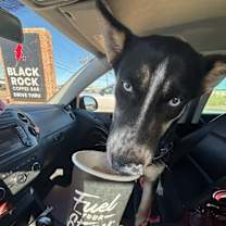 Thumbnail photo of Athena the serenity snugglebug #4