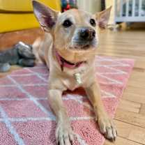 Thumbnail photo of Buddy Reid #1