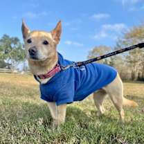 Thumbnail photo of Buddy Reid #3