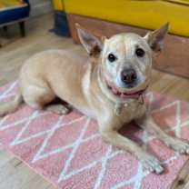 Thumbnail photo of Buddy Reid #4