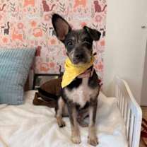 Thumbnail photo of Oliver Dalton #1