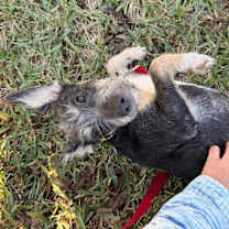 Thumbnail photo of Oliver Dalton #2