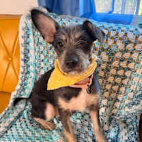 Thumbnail photo of Oliver Dalton #3