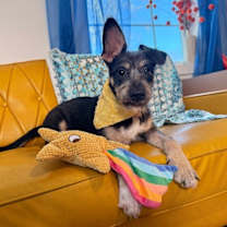 Thumbnail photo of Oliver Dalton #4