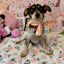 Thumbnail photo of Molly Gilstrap #2