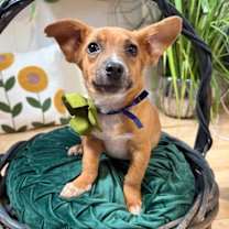 Thumbnail photo of Charlie Gilstrap #1