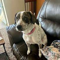 Thumbnail photo of Daphne #4