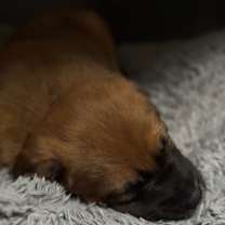 Thumbnail photo of Baker #3