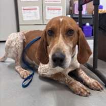 Thumbnail photo of East #1