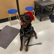 Thumbnail photo of Draco #1