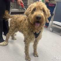 Thumbnail photo of Weaver #1