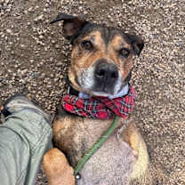 Thumbnail photo of Miriam Dom #1