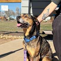 Thumbnail photo of Miriam Dom #3