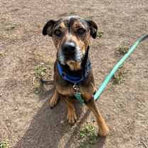 Thumbnail photo of Miriam Dom #4