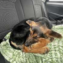 Thumbnail photo of Aria #3