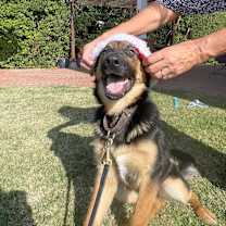 Thumbnail photo of Aria #4