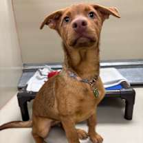 Thumbnail photo of Java #3