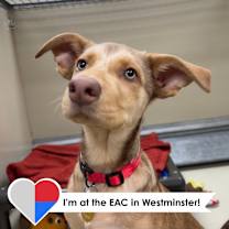 Thumbnail photo of Neveah #1