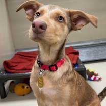 Thumbnail photo of Neveah #2