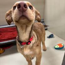 Thumbnail photo of Neveah #3