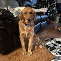 Thumbnail photo of Candy Land #1