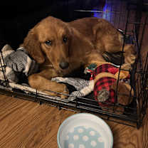 Thumbnail photo of Candy Land #2