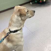 Thumbnail photo of Lovey #3