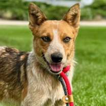 Thumbnail photo of Jurnee #1