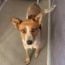 Thumbnail photo of Jurnee #4