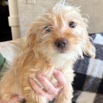 Thumbnail photo of Birdi #2