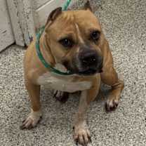 Thumbnail photo of Cash #2