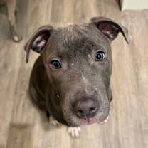 Thumbnail photo of Frost #1