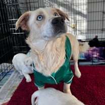 Thumbnail photo of Molly #2