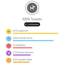 Thumbnail photo of Cake Litter- Red Velvet #2